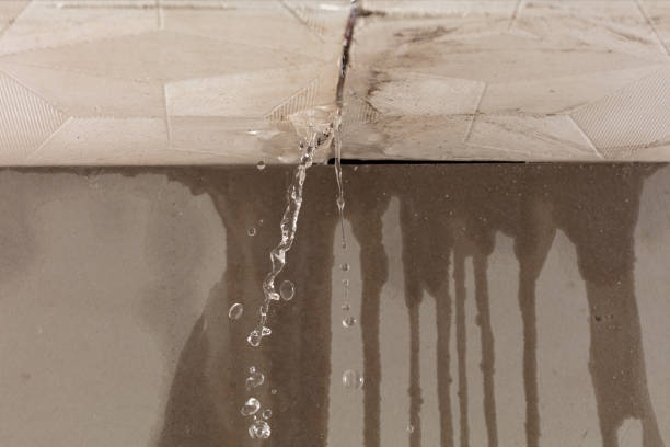 Professional Water Extraction technician working in Malabar, FL